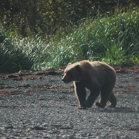 9Th Wave Bed And Breakfast Kodiak Exterior foto